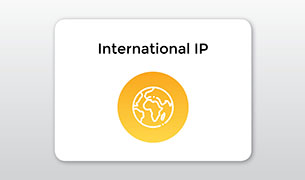 SLWI-Webinar---International-IP International IP